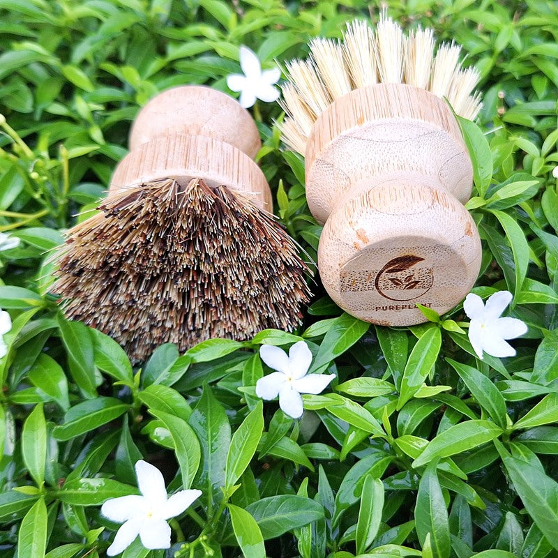 Set of 2 Kitchen Hand Dish Brush