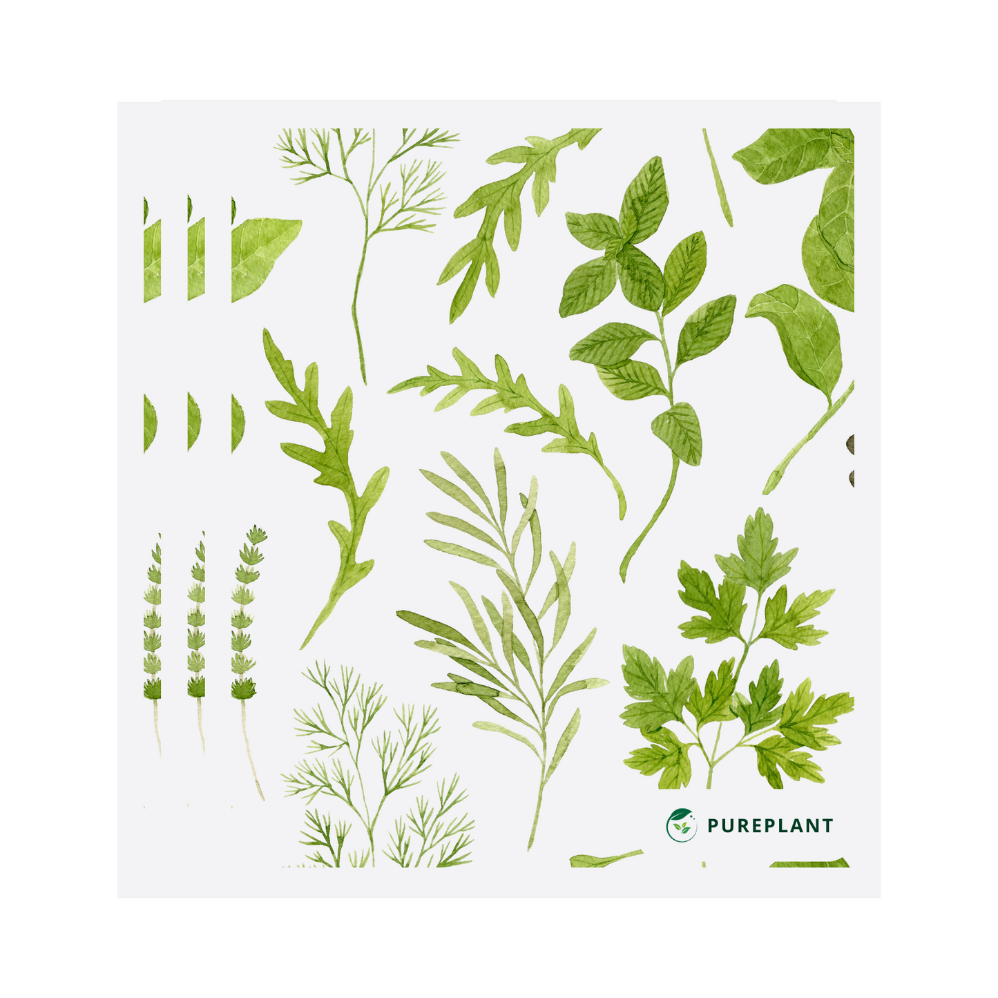 Herbal Green - Swedish Sponge Cloth