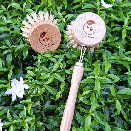 Refillable Sisal Dish Long Brush