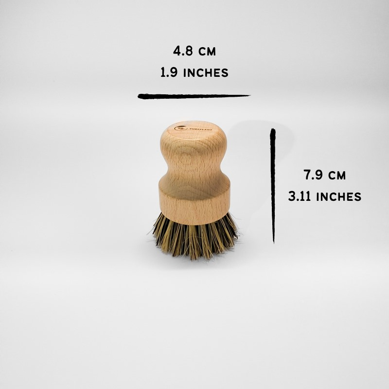 For Business - Sisal and Palm All Around Cleaning Brush