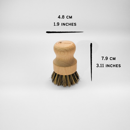 For Business - Sisal and Palm All Around Cleaning Brush