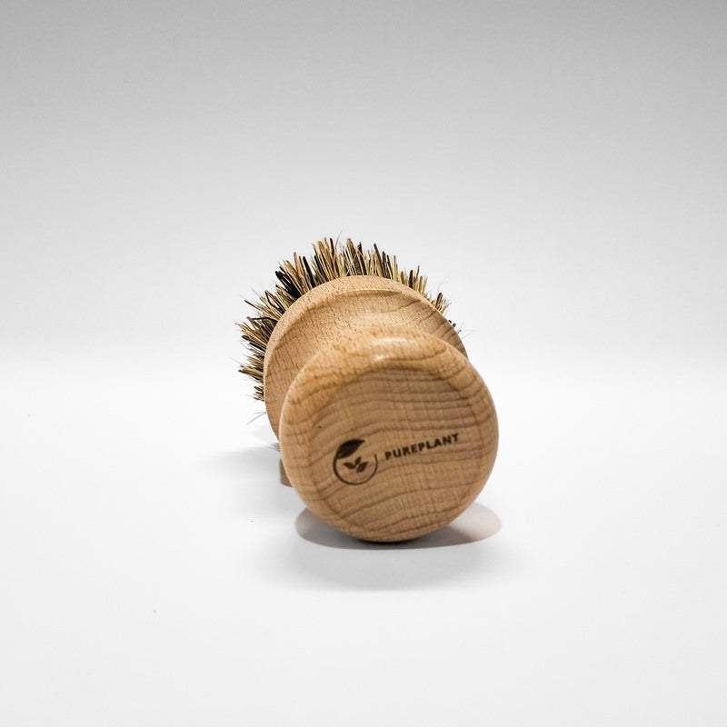 For Business - Sisal and Palm All Around Cleaning Brush